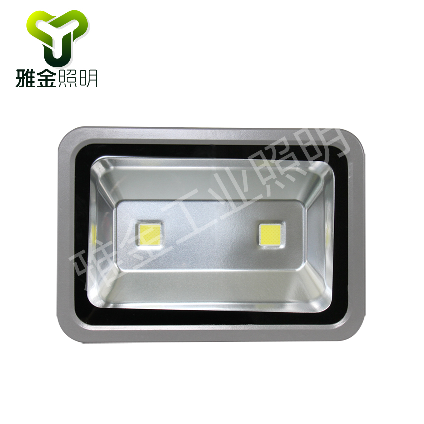 LEDͶ10W-300W